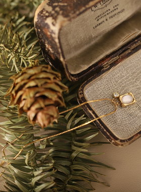 国风新中式复古贝壳吊坠单钻蛇骨锁骨链 钛钢项链