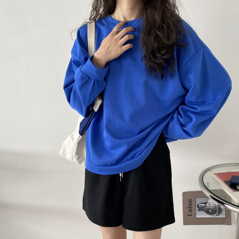 包邮！2013#春季新品薄款宽松百搭中性运动风印花长袖大卫衣