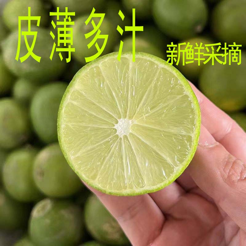 泰国无籽青柠檬塔西堤新鲜水果皮薄香水茶饮店餐厅酒吧专用爆款