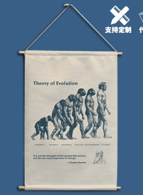 达尔文进化论卧室好物装饰布艺挂画ins学生宿舍网红墙贴补洞遮丑