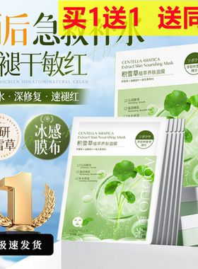 积雪草b5面膜保湿舒缓贴片水气补水暗沉提亮肤色晒后修护保湿