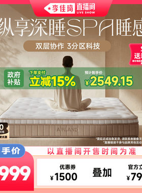 雅兰双层弹簧高端床垫深睡SPA