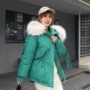 Chống mùa giảm giá bông pad nữ đoạn ngắn 2019 mùa đông mới in port gió bánh mì áo khoác cotton áo khoác - Bông áo phao hàn quốc nữ