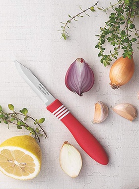 清仓正品Tramontina查蒙蒂纳巴西产开箱刀削皮刀餐刀水果刀餐具