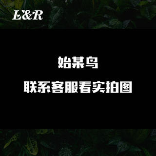 ARCTERYX始祖鸟车贴户外防水个性雕刻镂空汽车车身后挡风玻璃贴纸