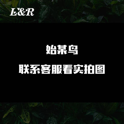 ARCTERYX始祖鸟车贴户外防水个性雕刻镂空汽车车身后挡风玻璃贴纸