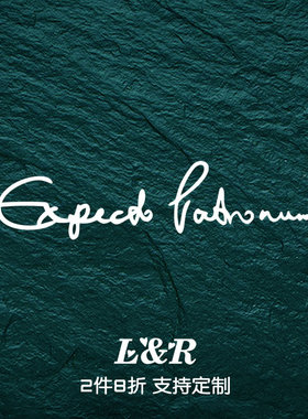 汽车哈利波特呼神护卫咒Expecto Patronum车贴电动摩托车装饰贴纸