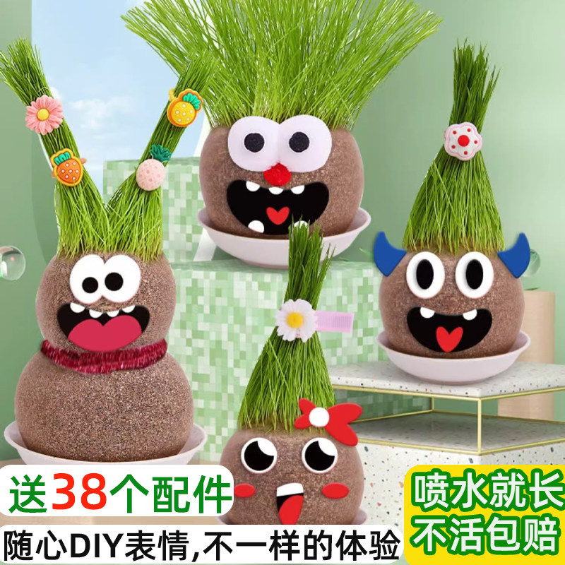 头上长草头娃娃小盆栽幼儿园观察生长水培种植物学生礼物,鲜花速递/花卉仿真/绿植园艺,草头娃娃,淘宝优惠券,粉丝福利购,淘宝优惠卷