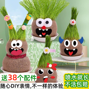 头上长草头娃娃小盆栽幼儿园观察生长水培种植物学生礼物