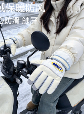 冬季加绒加厚防风触屏女手套