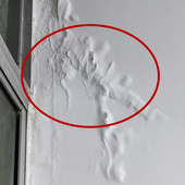 500g 墙面修补翻新 500g补墙套装