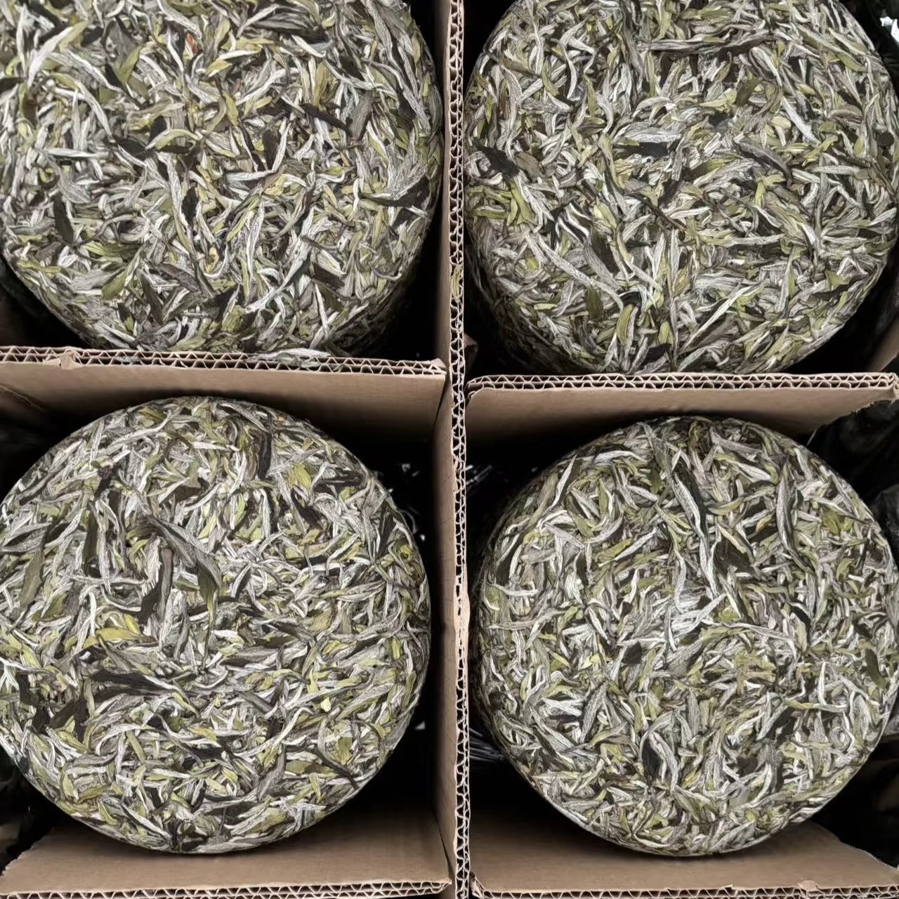 已已如意白牡丹预售晒茶婆白茶2025年一级白牡丹饼300克