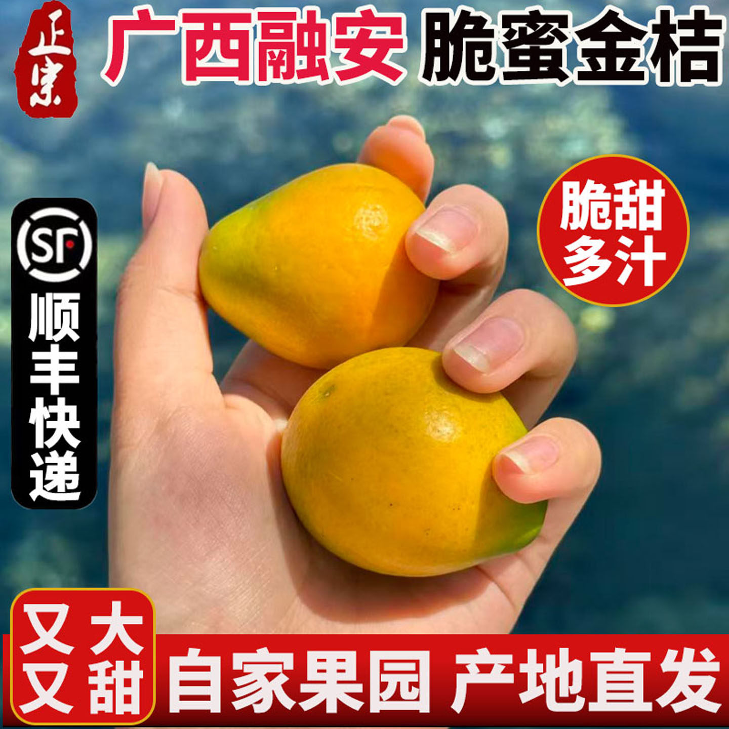 正宗广西融安脆蜜金桔第三代脆蜜金柑新鲜当季水果纯甜精品装包邮,水产肉类/新鲜蔬果/熟食,桔子,淘宝优惠券,粉丝福利购,淘宝优惠卷