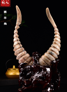 西藏草原羊角整角荔枝色稀有血丝送礼送实木底座摆件