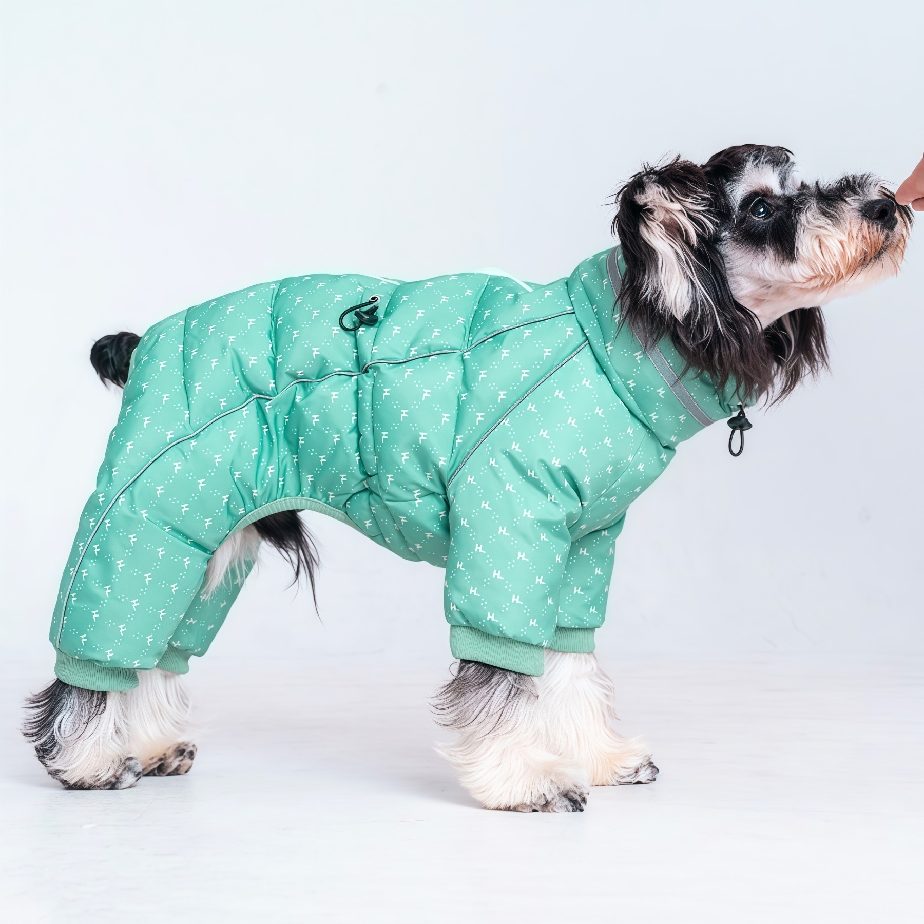 宠物狗衣服冬季加厚款四脚衣雪纳瑞比熊柴犬边牧棉衣棉袄护脖保暖,宠物/宠物食品及用品,狗宠物服装/雨衣,淘宝优惠券,粉丝福利购,淘宝优惠卷