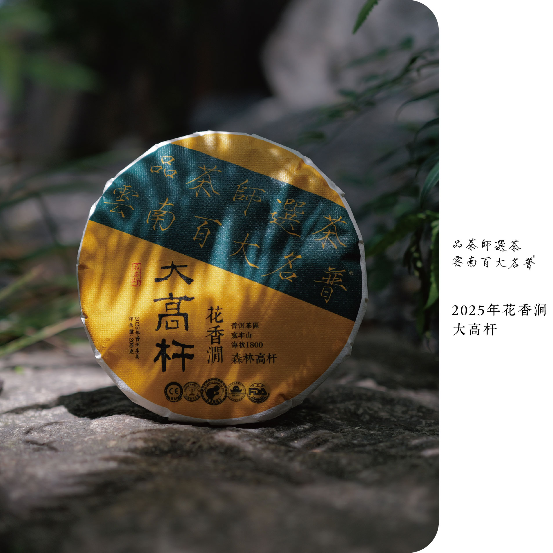 大高杆 | 2025年花香涧国有林大高杆古树生普200克饼