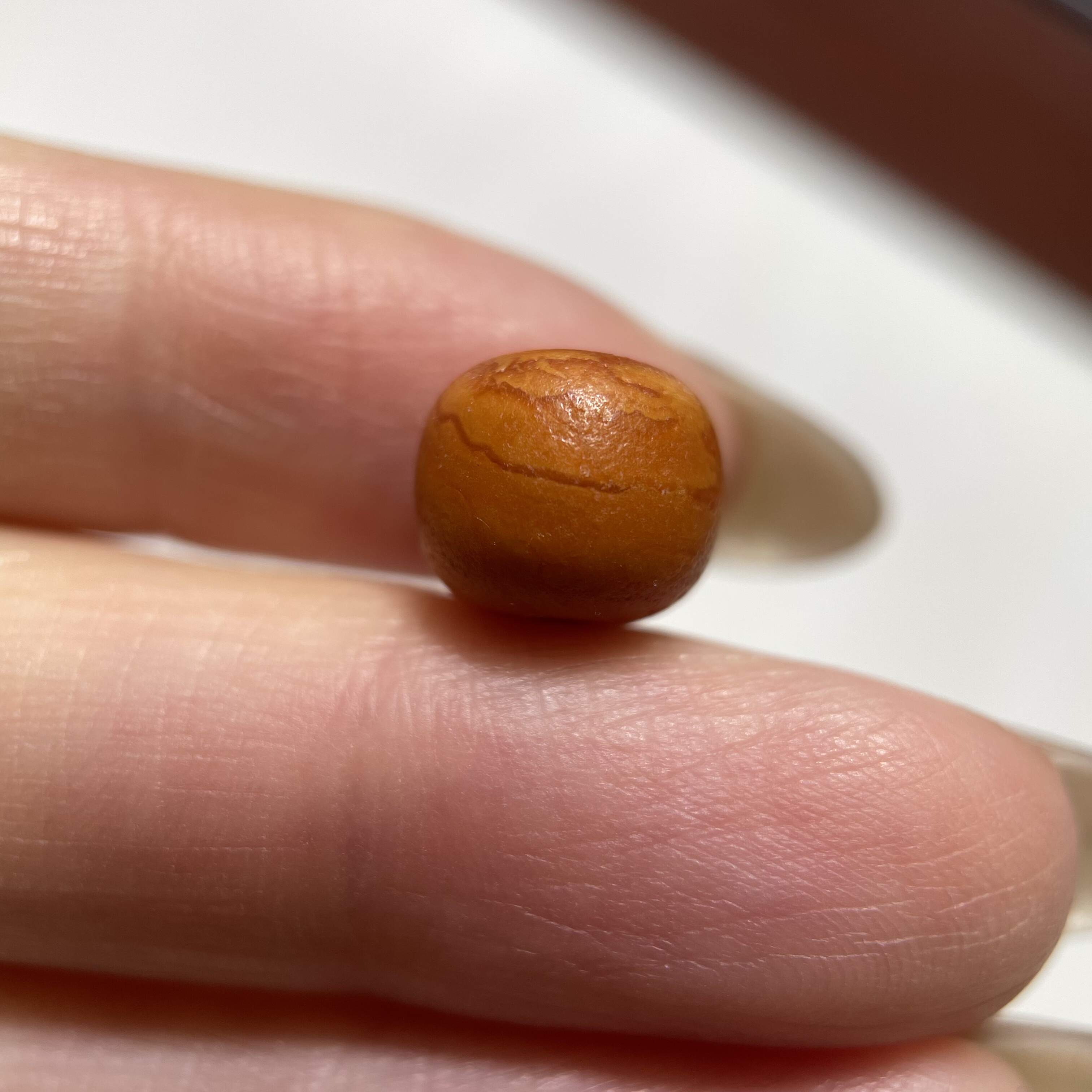 百年老蜜蜡小桶珠9.7mm 念珠手串多宝diy配珠单珠文玩散珠老珠617