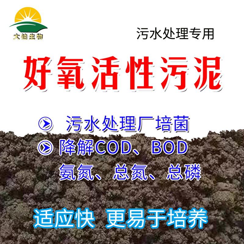 活性污泥生化启动培菌降cod氨氮