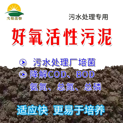 活性污泥生化启动培菌降cod氨氮
