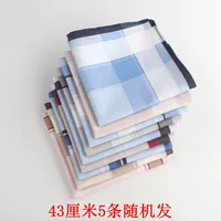 5 Случайное выпуск [43*43 см]