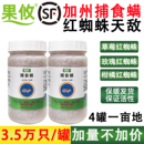 果攸捕食螨 草莓月季 红蜘蛛白蜘蛛蓟马天敌袋罐装 加州新小绥螨