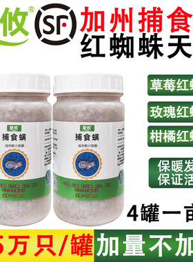 果攸捕食螨 加州新小绥螨 草莓月季红蜘蛛白蜘蛛蓟马天敌袋罐装