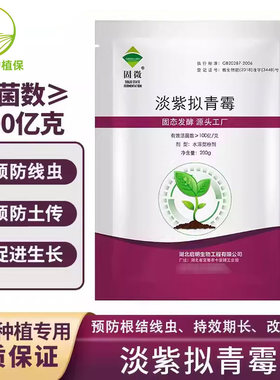 启明淡紫拟青霉防根结线虫黄瓜