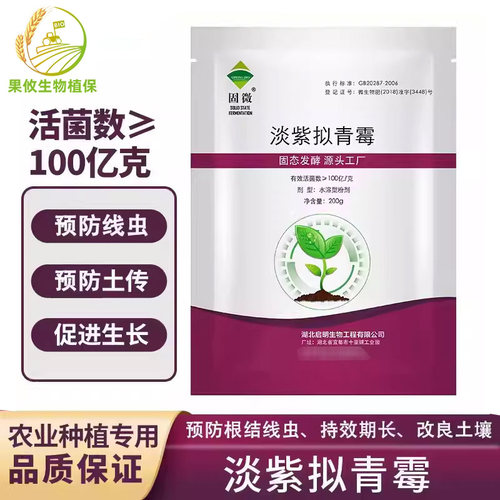 启明淡紫拟青霉防根结线虫黄瓜