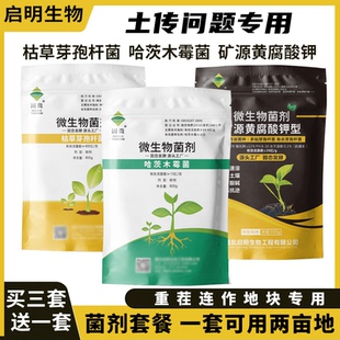 启明防根腐套餐 枯草芽孢菌杆菌哈茨木霉菌黄腐酸钾微生物菌剂