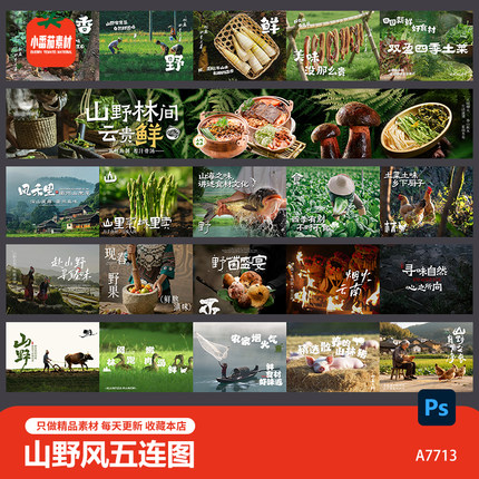 山野菜农家菜私房菜大众点评五连图餐饮山野食材海报psd设计素材