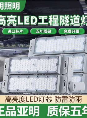 隧道高亮投光灯亚明隔离宽压驱动