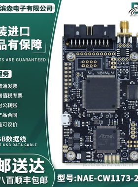 原装NAE-CW1173-2PART 开发板 - AVR ChipWhisperer-Lite 2 XMEGA