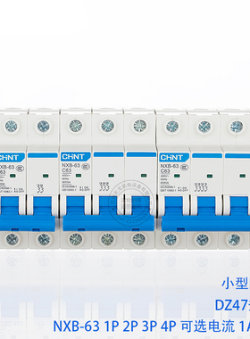 正泰昆仑NXB家用空气开关小型断路器1P2P3P4P C型16a25a32a40a63a