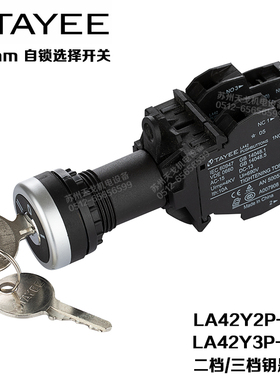 上海天逸 平头钥匙开关LA42Y2P / Y3P-10 11 20二三档 自锁式旋转