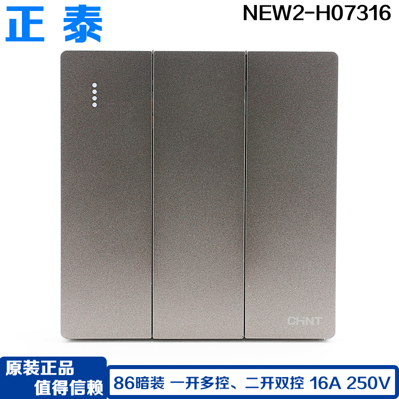 一开多控、二开双控开关面板正泰