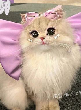 汤姆猫蝴蝶结宠物领结梦中情猫cos项链紫色项圈颈链玛丽猫配饰
