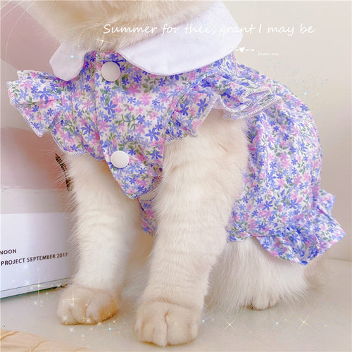 仙女公主风背心裙碎花裙