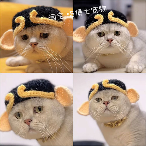 八戒宠物纯手工毛线针织猫咪帽子