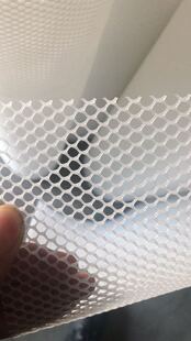 加厚2毫米3毫米孔4毫米胡蜂蜜蜂塑料网七里黄脚红娘金环蜂王网