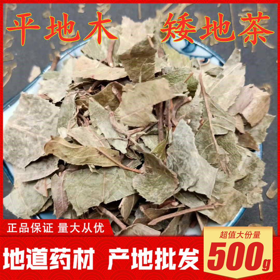 新货平地木铺地凉伞野生中药材矮地茶不出林叶下珍珠500克包邮