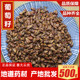 新疆葡萄籽泡茶泡水 新货葡萄子 可磨葡糖子粉 中药材 包邮 500g