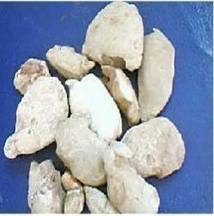 正品中药材正品石蟹/500克