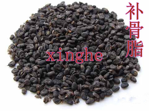 中药材 补骨脂 胡韭子 破故纸 黑故子500g