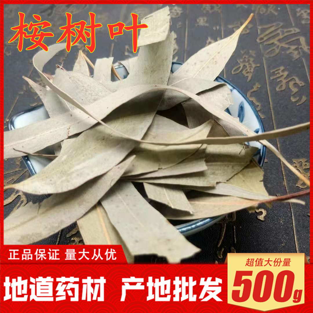 包邮桉树叶 桉叶 中药材天然无硫大叶按树叶 橡树叶蓝绿桉叶500克