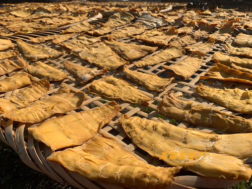 广东粤北农产品英德土特产农家自晒麻竹笋尾食用笋干发酵笋角包邮