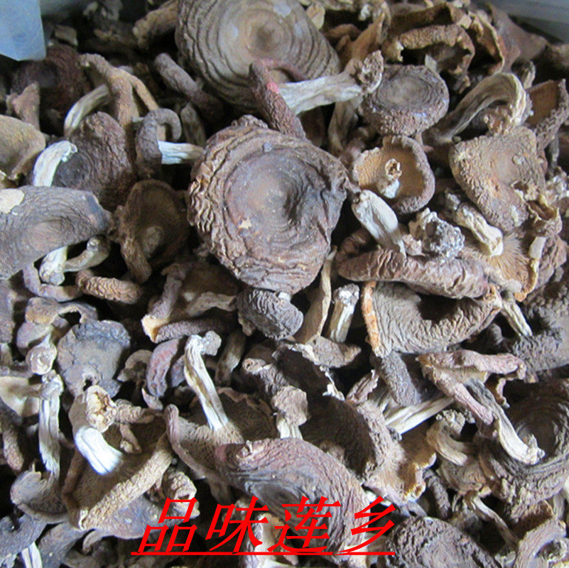 福建野生梨菇 青面菇、泥菇 食用菌杂菇蘑菇250克