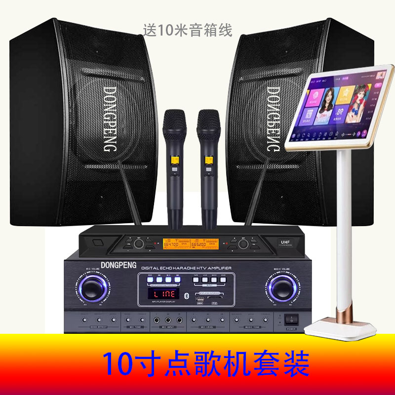 东鹏10寸会议舞蹈室教学培训家庭KTV客厅电视K歌卡拉OK音响套装