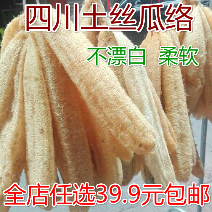 农家自种无加工入药天然丝瓜布图片