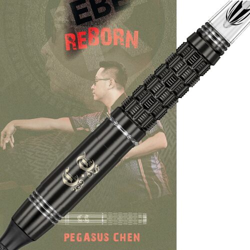 陈海龙飞镖TARGET软式专业钨钢
