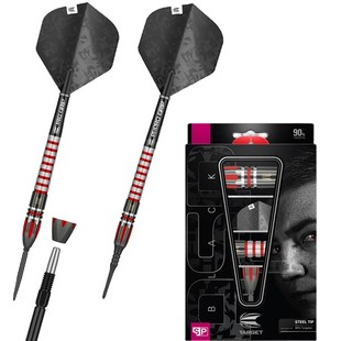 TARGET探极飞镖 内森.阿斯皮诺尔90%SWISS硬式22/24/26软式18克